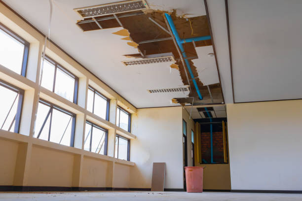 Best Mold removal after water damage  in , MN