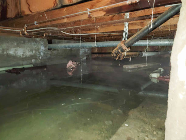 Best Emergency water damage restoration  in , MN