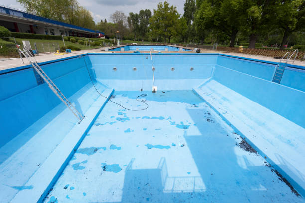 Best Water damage cleanup near me  in , MN