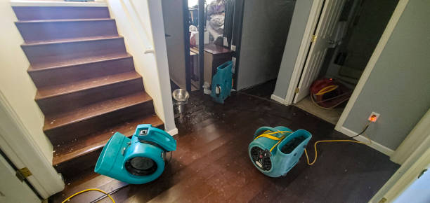 Best Residential water damage restoration  in , MN