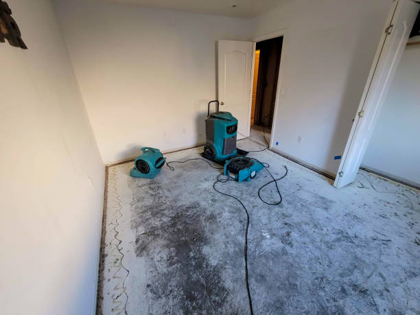  , MN Water damage restoration Pros
