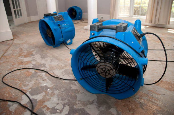 Best Local water damage restoration  in , MN