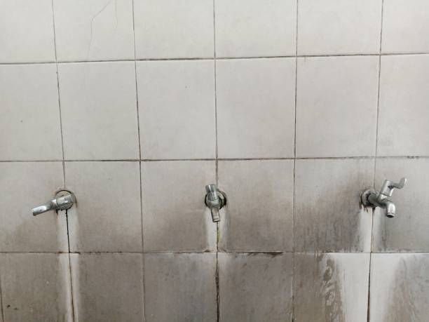 Best Sewage cleanup and water damage restoration  in , MN