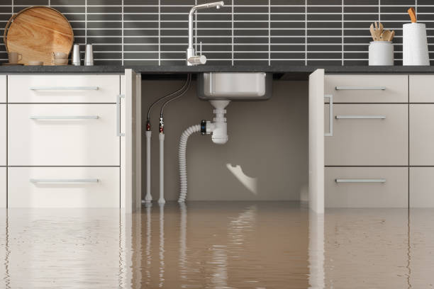 Best Flood damage cleanup  in , MN