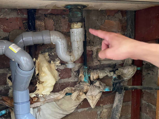 Best Basement water damage restoration  in , MN