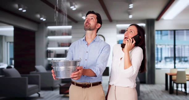 Best Carpet water damage restoration  in , MN