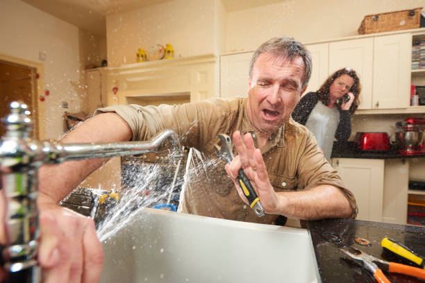Best Water damage cleanup near me  in , MN